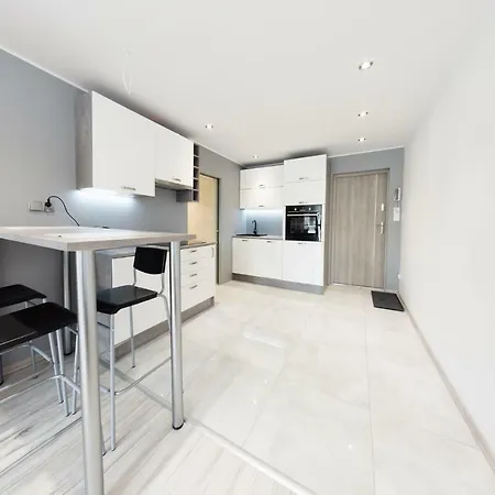 Apartament Typu Studio 公寓
